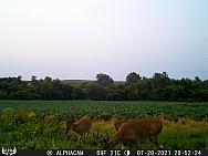 07200121
