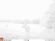 07310034
