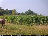 08010745