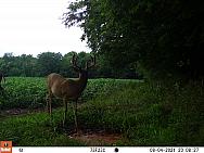 08040029 - Copy