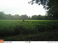 08040034