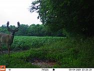 08040035 - Copy