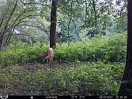 08040347