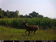 08060923