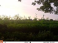 08070266