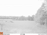08070583