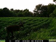 08080127