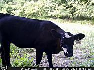 08200129