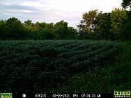 08200275