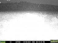 09080040