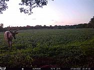07280015