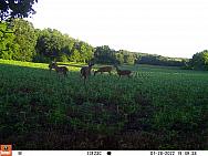 07280041