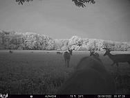 08060386