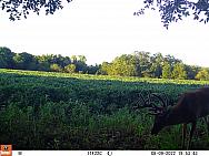 08090331