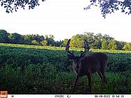08090333