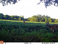 08090341