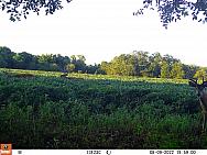08090345