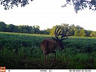08090359