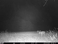 08200445