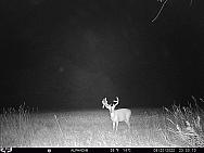 08200447