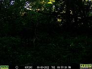 08300825