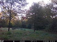 10090421