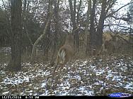 CDY 0093