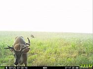 07300740