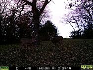 11020131
