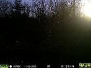 11120518