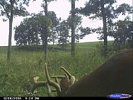 CDY 0010