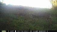 PICT0775