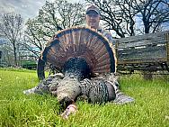 IMG 6791